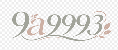 9a9993
